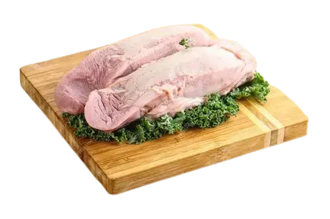 LENGUA